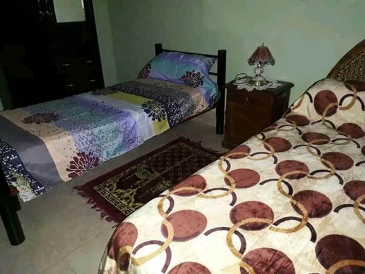 Hostel Odorico San Jose  外观 照片